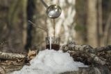 depositphotos_302829970-stock-photo-pouring-syrup-birch-sap-glass.jpg