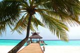 1594988889_beach-612553_1280.jpg