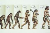 GettyImages-DEAPictureLibrary_EvolutionOfMan-122223741.jpg