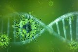 1593766075_coronavirus-4833754_1920.jpg