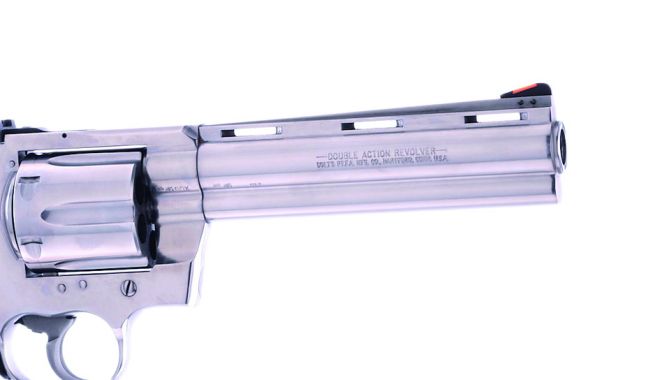 anakonda-8.jpg