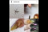 Deadly-nails.PNG