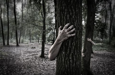 1595415424_hands-984032_1280.jpg