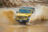 1592587632_Wrangler.jpg