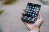 blackberries-1377071_960_720.jpg
