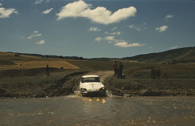 ajkula-11.jpg